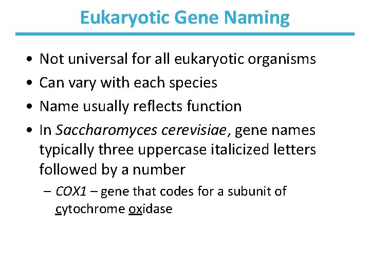 Eukaryotic Gene Naming • • Not universal for all eukaryotic organisms Can vary with