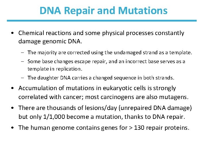 DNA Repair and Mutations • Chemical reactions and some physical processes constantly damage genomic