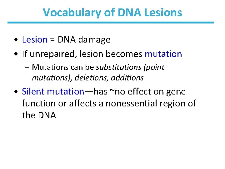 Vocabulary of DNA Lesions • Lesion = DNA damage • If unrepaired, lesion becomes