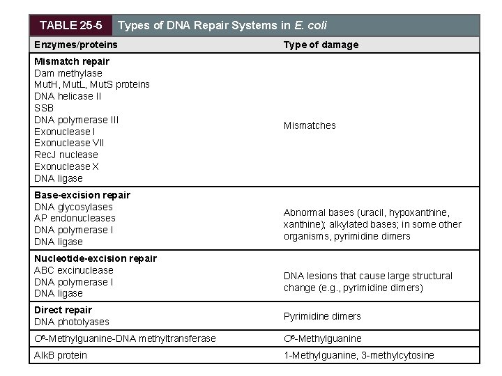 TABLE 25 -5 Types of DNA Repair Systems in E. coli Enzymes/proteins Mismatch repair