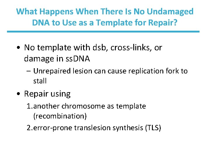 What Happens When There Is No Undamaged DNA to Use as a Template for