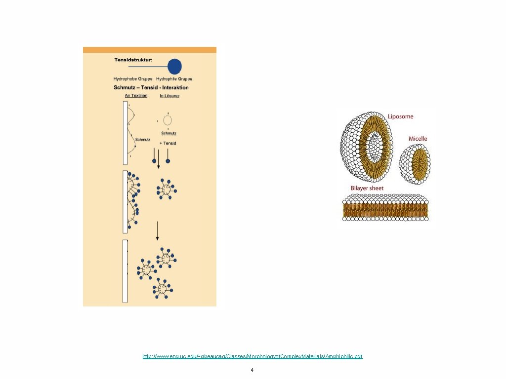 http: //www. eng. uc. edu/~gbeaucag/Classes/Morphologyof. Complex. Materials/Amphiphilic. pdf 4 