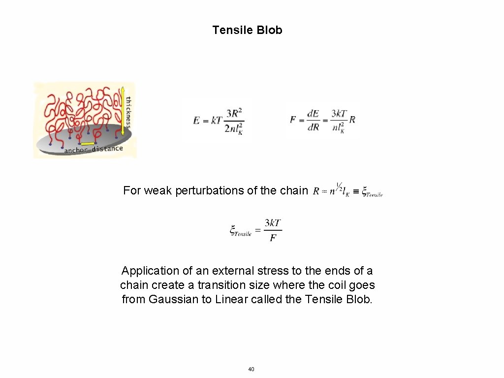 Tensile Blob For weak perturbations of the chain Application of an external stress to