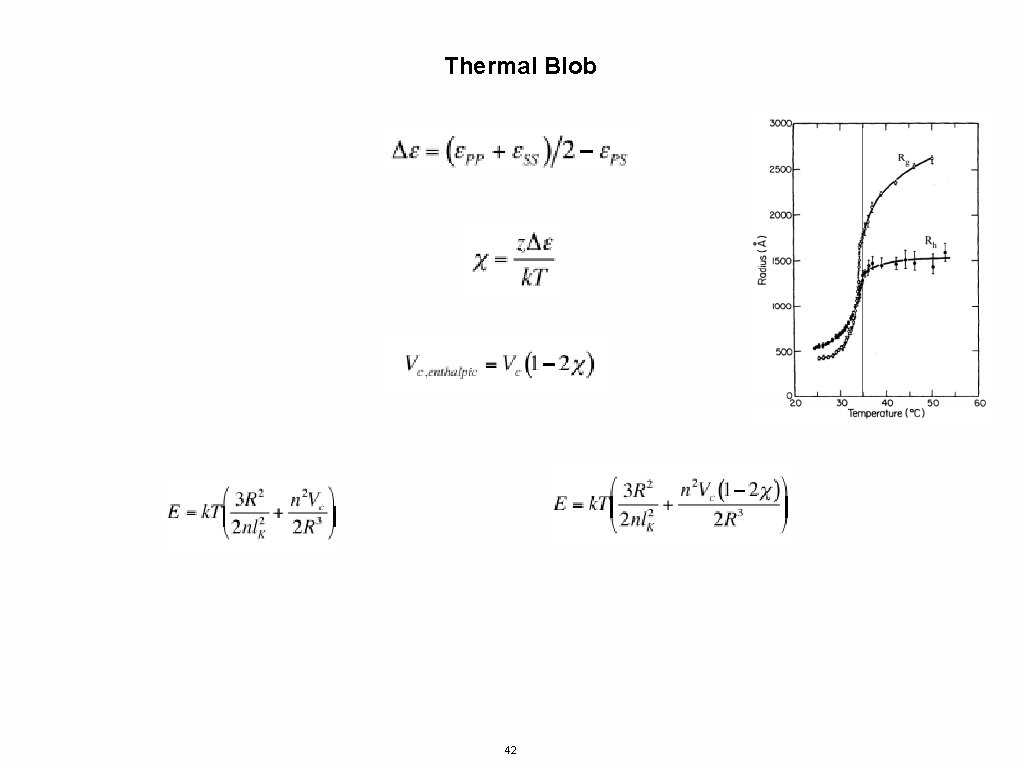 Thermal Blob 42 