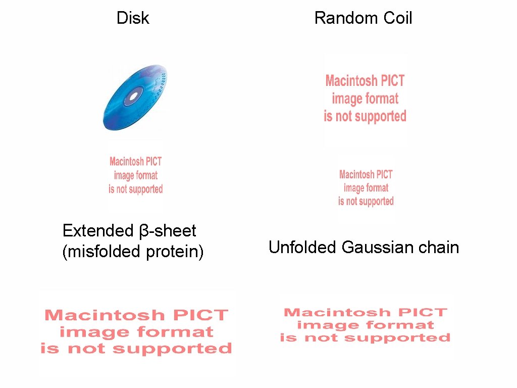 Disk Random Coil Extended β-sheet (misfolded protein) Unfolded Gaussian chain 