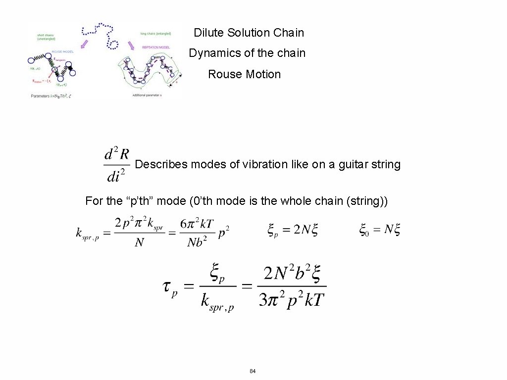 Dilute Solution Chain Dynamics of the chain Rouse Motion Describes modes of vibration like