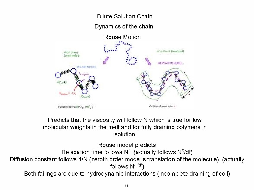 Dilute Solution Chain Dynamics of the chain Rouse Motion Predicts that the viscosity will