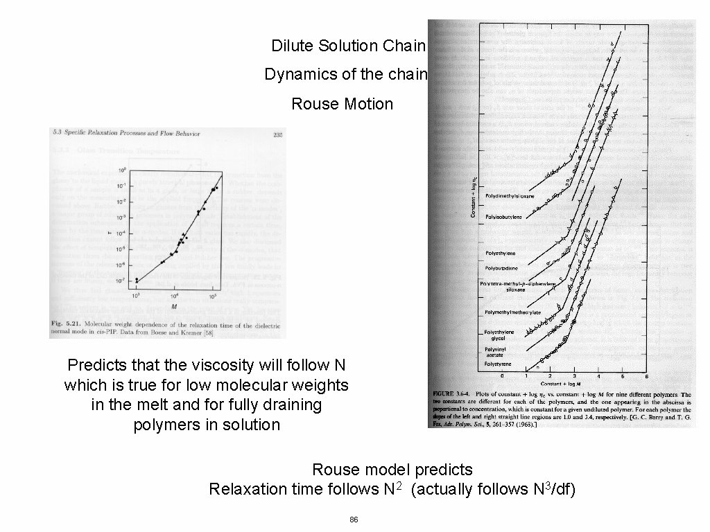 Dilute Solution Chain Dynamics of the chain Rouse Motion Predicts that the viscosity will
