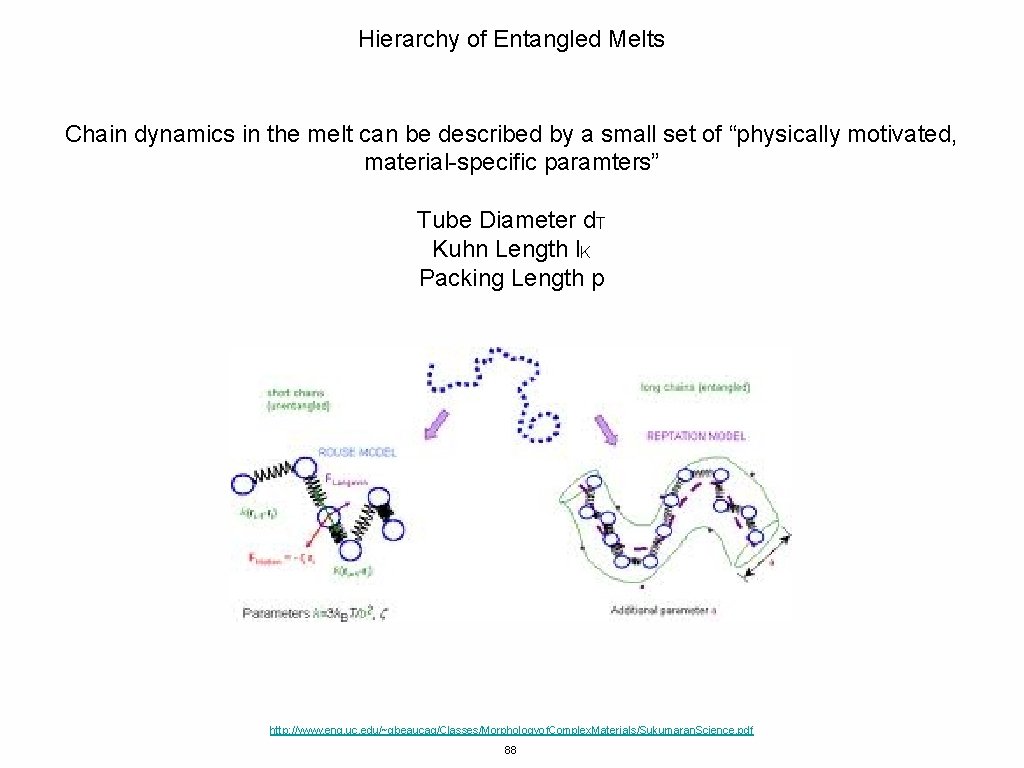 Hierarchy of Entangled Melts Chain dynamics in the melt can be described by a