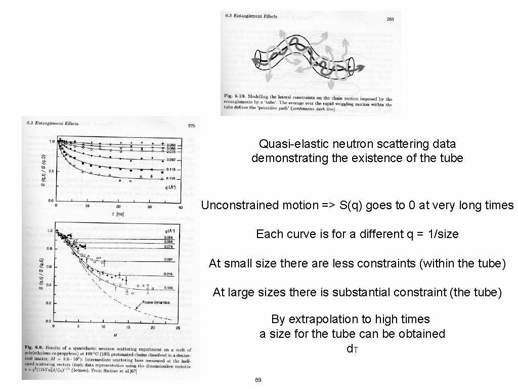 Quasi-elastic neutron scattering data demonstrating the existence of the tube Unconstrained motion => S(q)