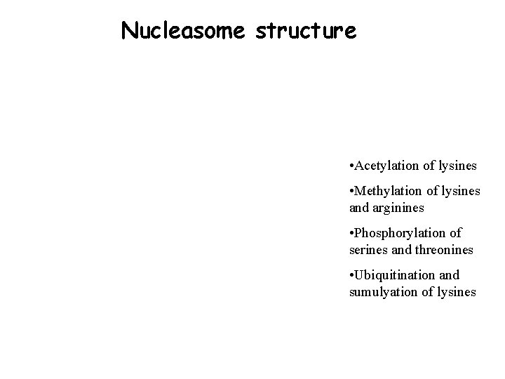 Nucleasome structure • Acetylation of lysines • Methylation of lysines and arginines • Phosphorylation