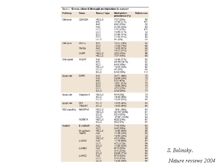 S. Belinsky. Nature reviews 2004 