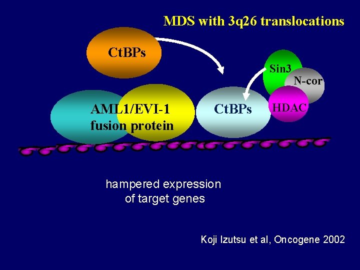 MDS with 3 q 26 translocations Ct. BPs Sin 3 AML 1/EVI-1 fusion protein