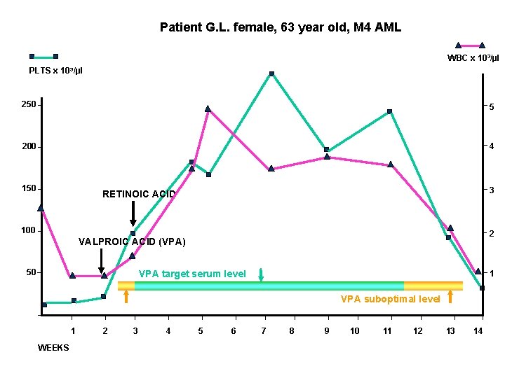 Patient G. L. female, 63 year old, M 4 AML WBC x 103/µl PLTS