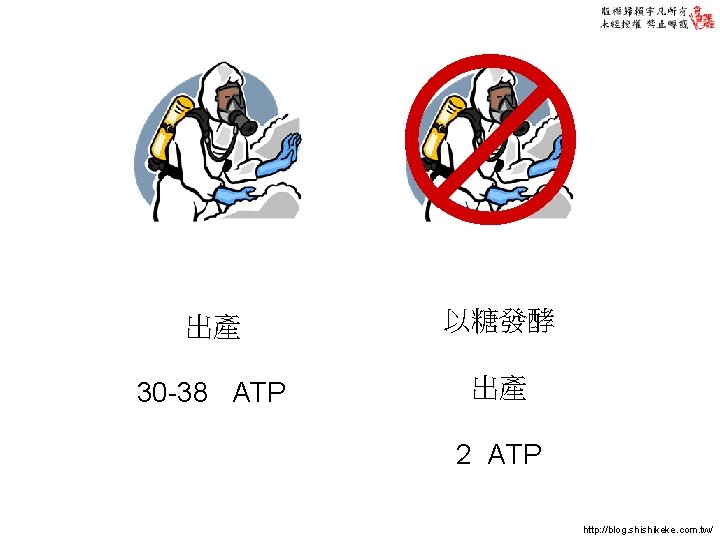 出產 以糖發酵 30 -38 ATP 出產 2 ATP http: //blog. shishikeke. com. tw/ 