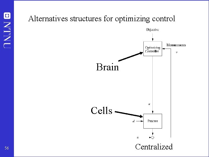 Alternatives structures for optimizing control What should we control? Brain Cells 56 Hierarchical Centralized