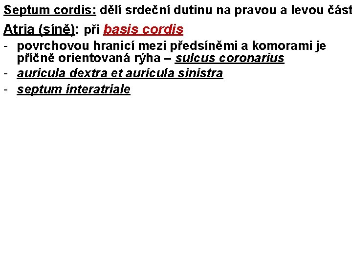 Septum cordis: dělí srdeční dutinu na pravou a levou část Atria (síně): při basis