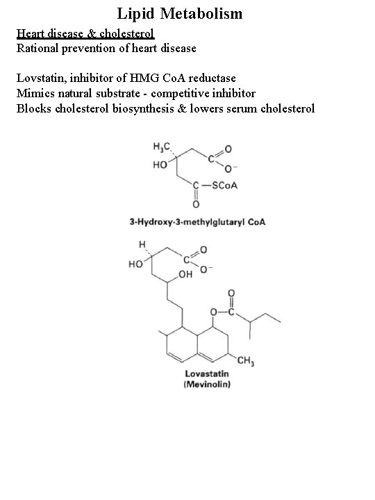 Lipid Metabolism Heart disease & cholesterol Rational prevention of heart disease Lovstatin, inhibitor of