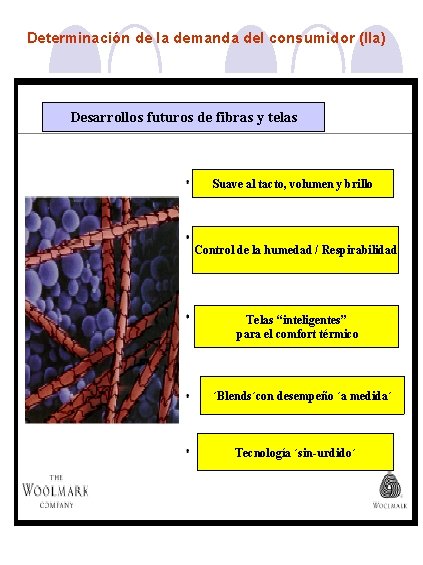 Determinación de la demanda del consumidor (IIa) Desarrollos futuros de fibras y telas Suave