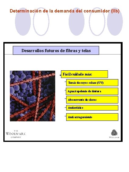 Determinación de la demanda del consumidor (IIb) Desarrollos futuros de fibras y telas Fácil