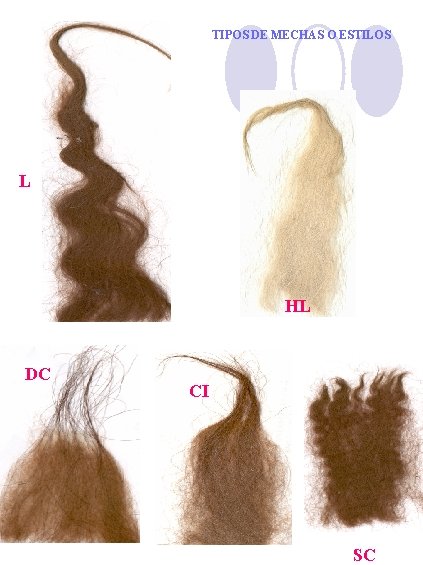 TIPOS DE MECHAS O ESTILOS L HL DC CI SC 