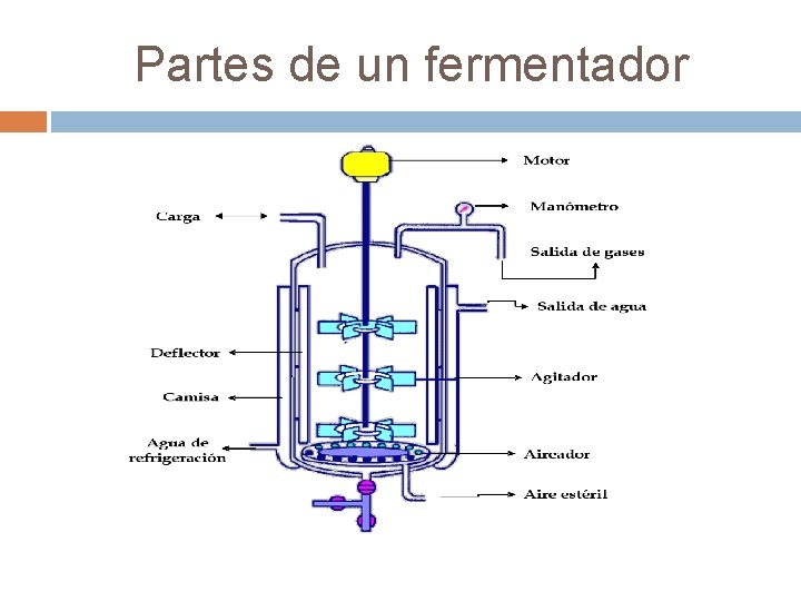 Partes de un fermentador 