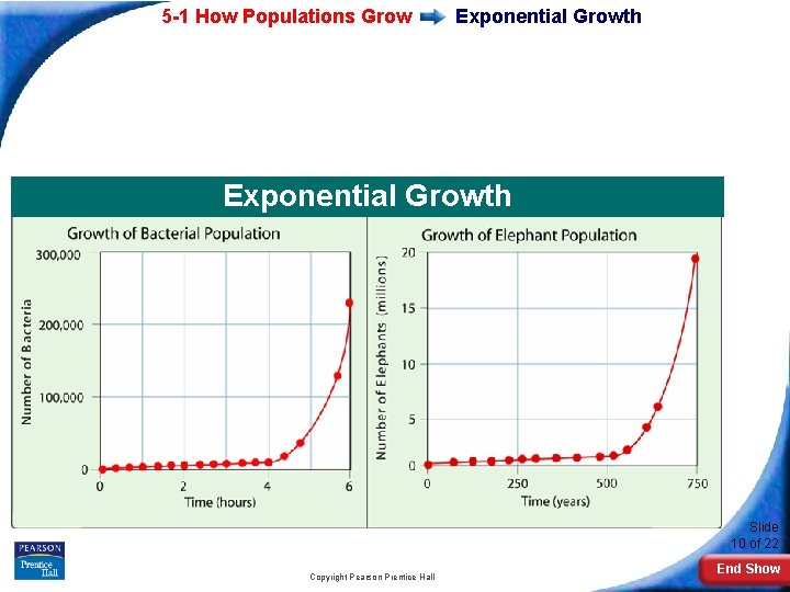 5 -1 How Populations Grow Exponential Growth Slide 10 of 22 Copyright Pearson Prentice