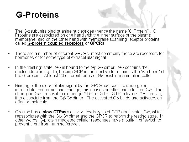 G-Proteins • The Ga subunits bind guanine nucleotides (hence the name “G Protein”). G