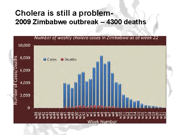 Cholera is still a problem 2009 Zimbabwe outbreak – 4300 deaths 