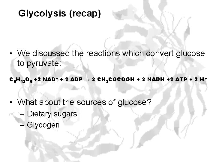 Glycolysis (recap) • We discussed the reactions which convert glucose to pyruvate: C 6