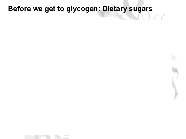 Before we get to glycogen: Dietary sugars 