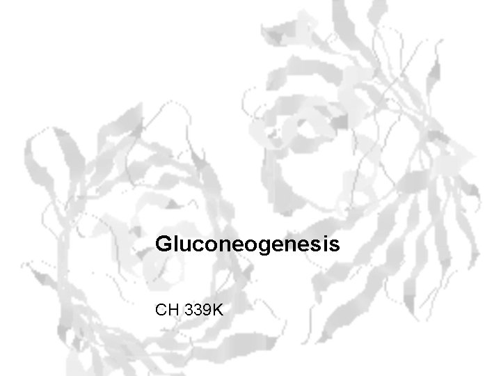 Gluconeogenesis CH 339 K 