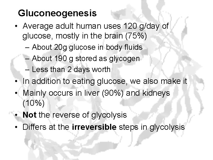 Gluconeogenesis • Average adult human uses 120 g/day of glucose, mostly in the brain