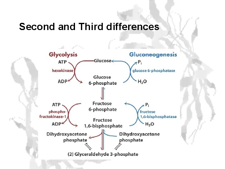 Second and Third differences 