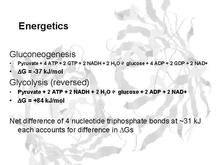 Energetics Gluconeogenesis • Pyruvate + 4 ATP + 2 GTP + 2 NADH +