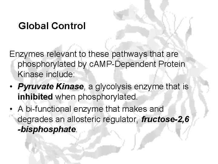 Global Control Enzymes relevant to these pathways that are phosphorylated by c. AMP-Dependent Protein