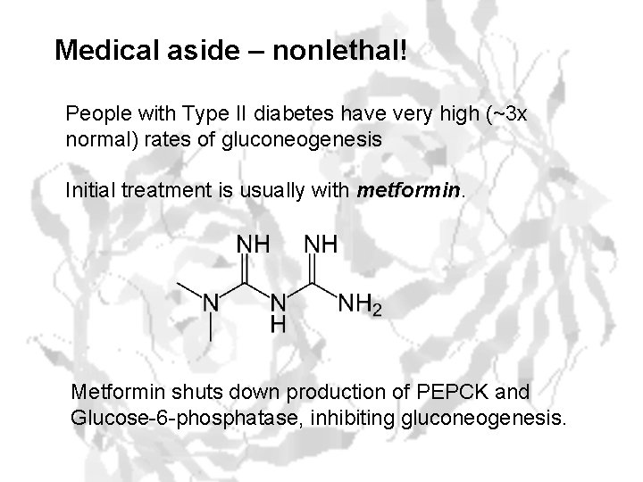 Medical aside – nonlethal! People with Type II diabetes have very high (~3 x