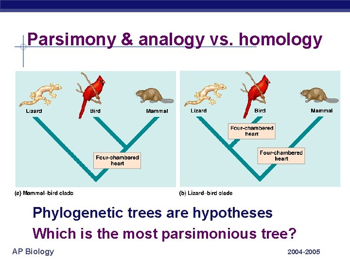 Parsimony & analogy vs. homology Phylogenetic trees are hypotheses Which is the most parsimonious