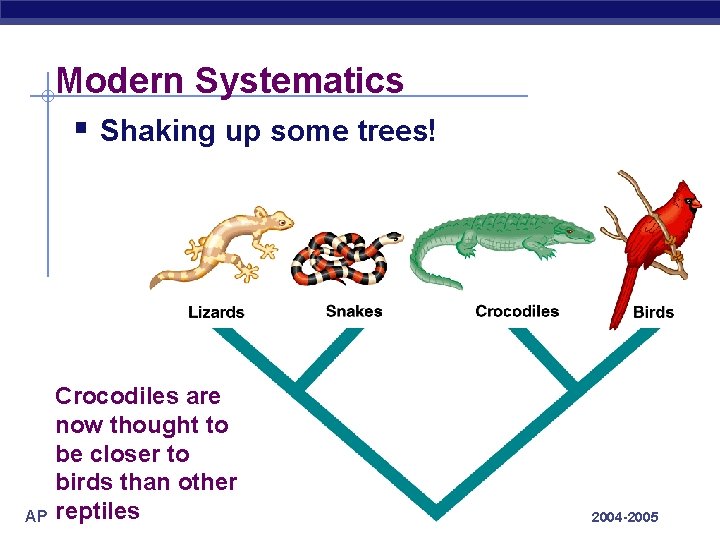 Modern Systematics § Shaking up some trees! Crocodiles are now thought to be closer