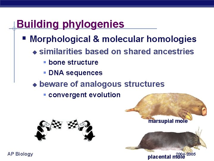 Building phylogenies § Morphological & molecular homologies u similarities based on shared ancestries §