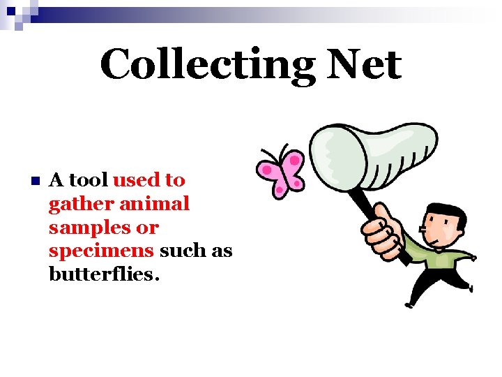 Collecting Net n A tool used to gather animal samples or specimens such as