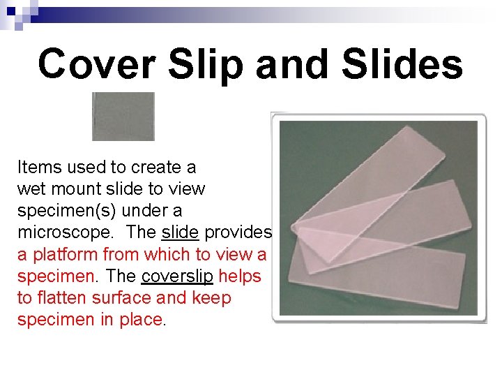 Cover Slip and Slides Items used to create a wet mount slide to view