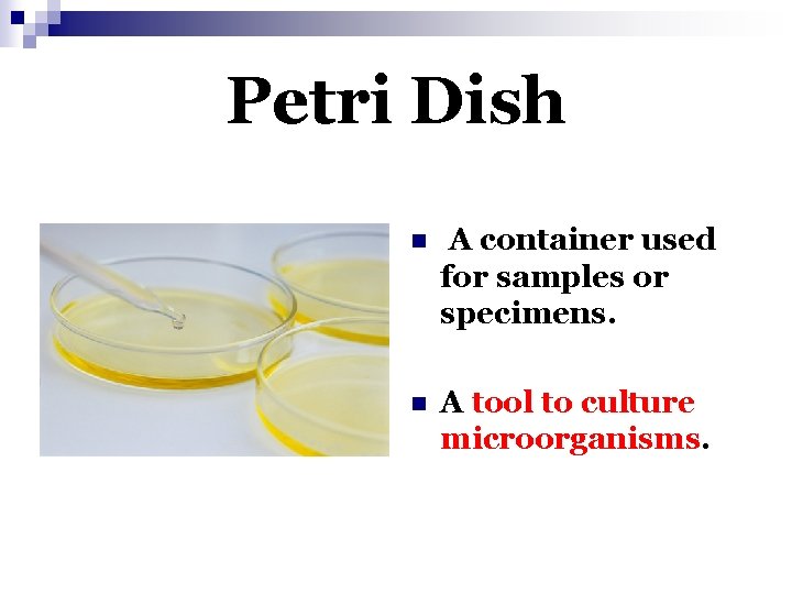 Petri Dish n A container used for samples or specimens. n A tool to