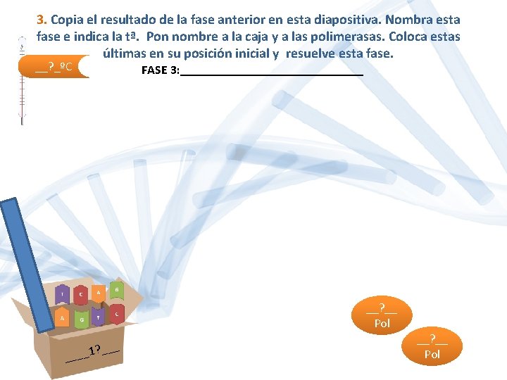 3. Copia el resultado de la fase anterior en esta diapositiva. Nombra esta fase