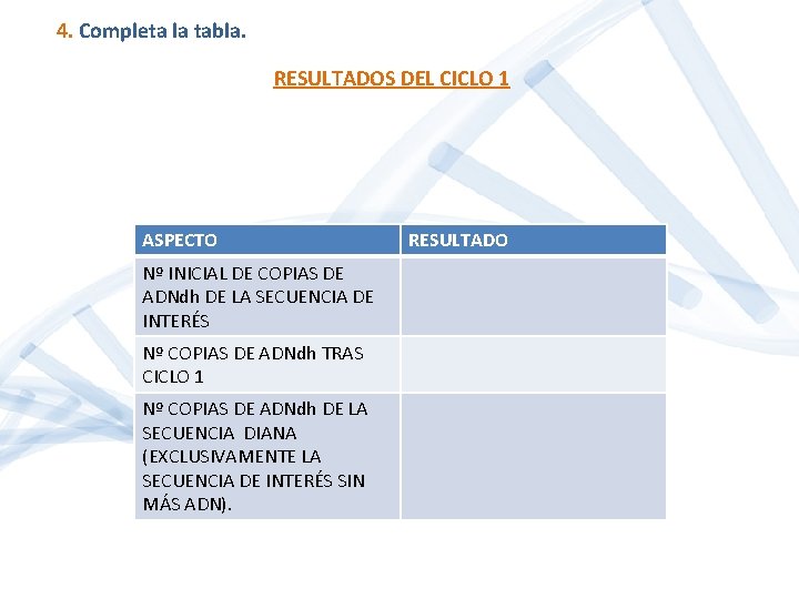 4. Completa la tabla. RESULTADOS DEL CICLO 1 ASPECTO Nº INICIAL DE COPIAS DE