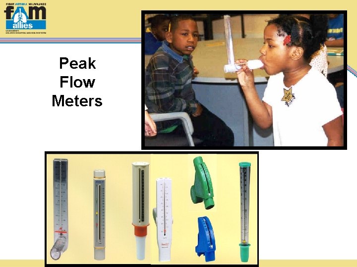 Peak Flow Meters 