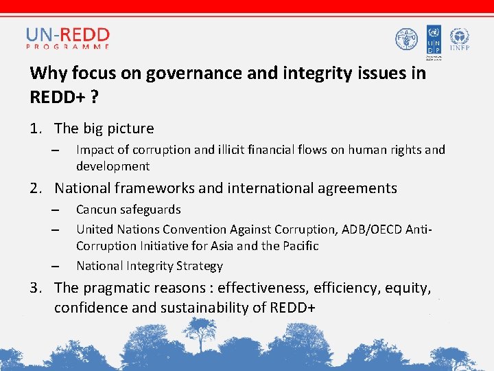 Why focus on governance and integrity issues in REDD+ ? 1. The big picture
