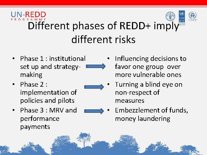 Different phases of REDD+ imply different risks • Phase 1 : institutional set up