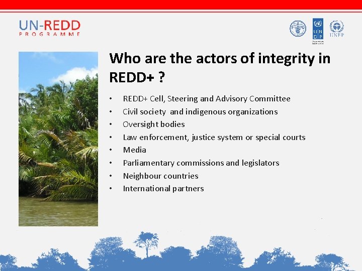 Who are the actors of integrity in REDD+ ? • • REDD+ Cell, Steering