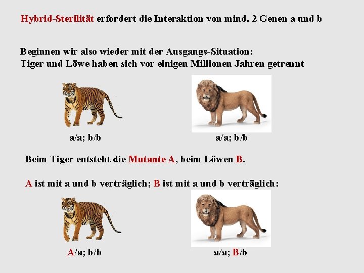 Hybrid-Sterilität erfordert die Interaktion von mind. 2 Genen a und b Beginnen wir also